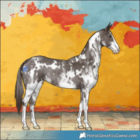 Horse Color:White Spotted Liver Chestnut Rabicano 