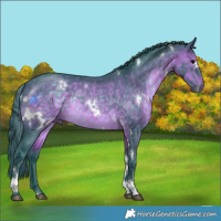 Horse Color:Watercolor White Spotted Brown Tobiano Rabicano 