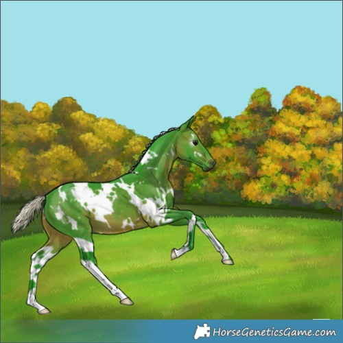 Horse Color:Gray Watercolor White Spotted Silver Brown 