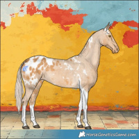 Horse Color:White Spotted Palomino Tobiano Blanket 