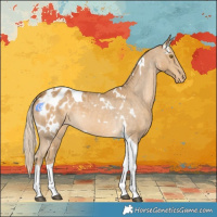 Horse Color:White Spotted Palomino Tobiano Blanket 