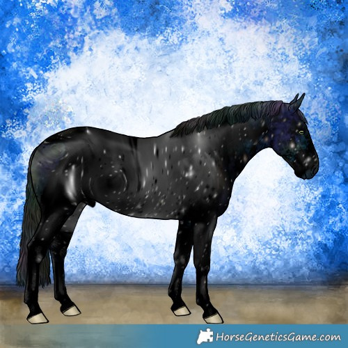 Horse Color:ERROR: UNKNOWN ANOMALY