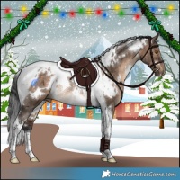 Horse Color:White Spotted Brown Dun Tobiano Rabicano 