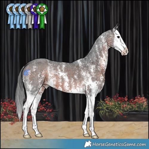 Horse Color:Brown Mushroom Sabino Splash 