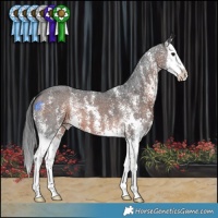 Horse Color:Brown Mushroom Sabino Splash