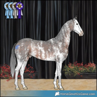Horse Color:Brown Mushroom Sabino Splash