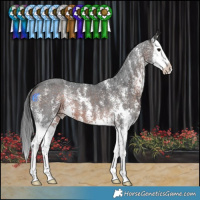Horse Color:Brown Mushroom Sabino Splash 