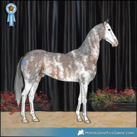 Horse Color:Brown Mushroom Sabino Splash