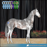 Horse Color:Brown Mushroom Sabino Splash 