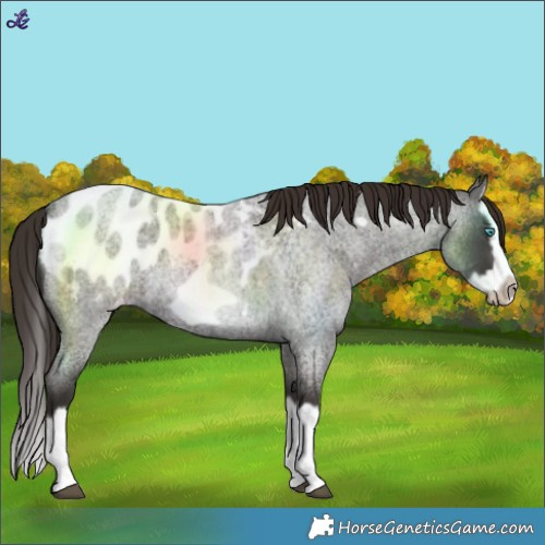 Horse Color:Liver Red Roan Splash Frame Blanket 