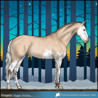 Horse Color:Silver Bay Dun Splash Rabicano