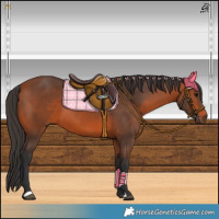Horse Color:Brown 