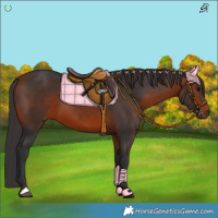 Horse Color:Brown 