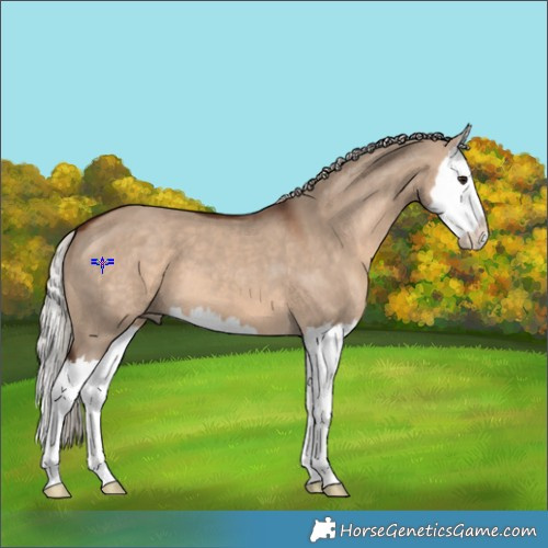 Horse Color:Silver Brown Dun Splash 