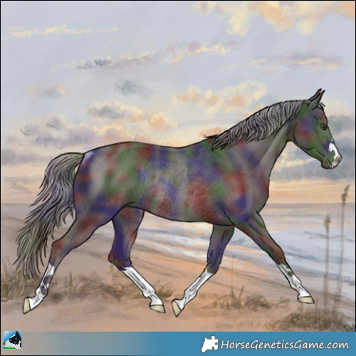 Horse Color:Nacre Liver Chestnut Mushroom Rabicano