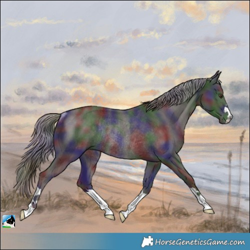Horse Color:Nacre Liver Chestnut Mushroom Rabicano