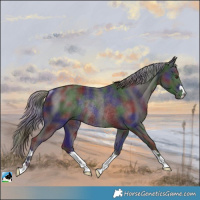 Horse Color:Nacre Liver Chestnut Mushroom Rabicano 