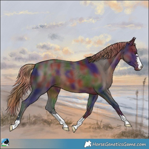Horse Color:Nacre Liver Chestnut
