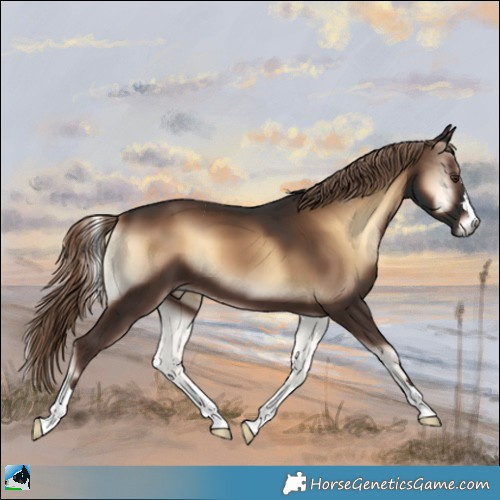 Horse Color:Liver Red Onyx 