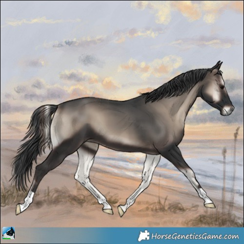 Horse Color:Blue Onyx Mushroom