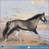 Horse Color:Blue Onyx Mushroom 