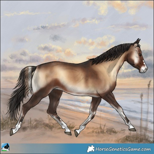 Horse Color:Liver Red Onyx 