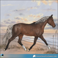 Horse Color:Liver Chestnut Mushroom 