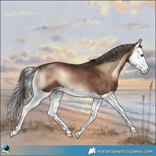 Horse Color:Liver Red Onyx Mushroom Splash 