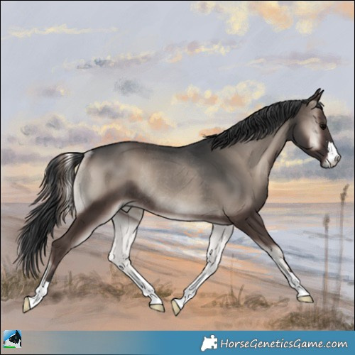 Horse Color:Blue Onyx Mushroom Rabicano 