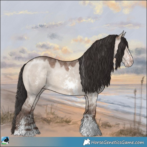 Horse Color:Sable Champagne Dun Mushroom Sabino 