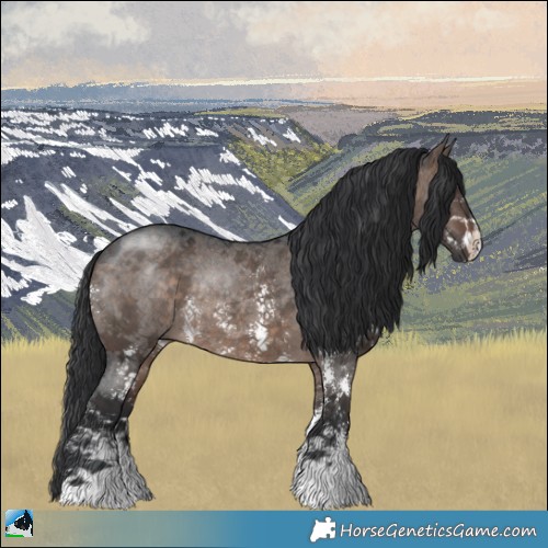 Horse Color:Brown Dun Mushroom Sabino Rabicano 