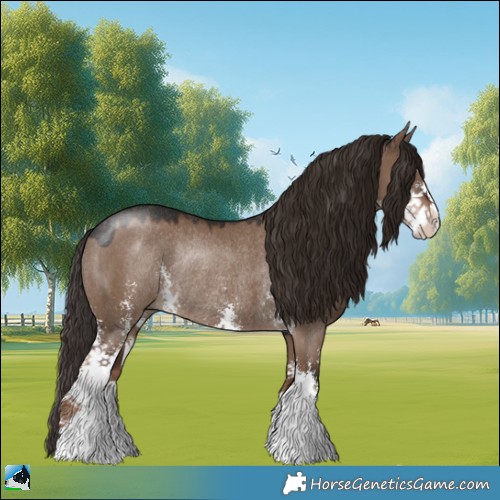 Horse Color:Liver Red Dun Sabino Rabicano 