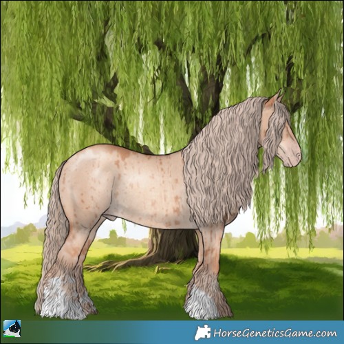 Horse Color:Gold Champagne Dun Rabicano Brindle 