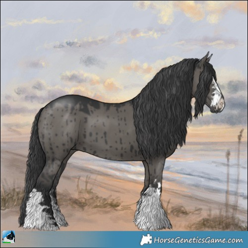 Horse Color:Grullo Brindle 