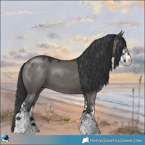 Horse Color:Grullo Mushroom Sabino 