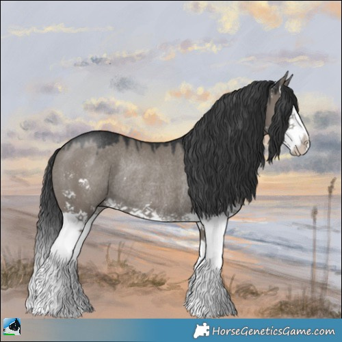 Horse Color:Grullo Sabino Splash Rabicano