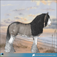 Horse Color:Grullo Sabino Splash Rabicano