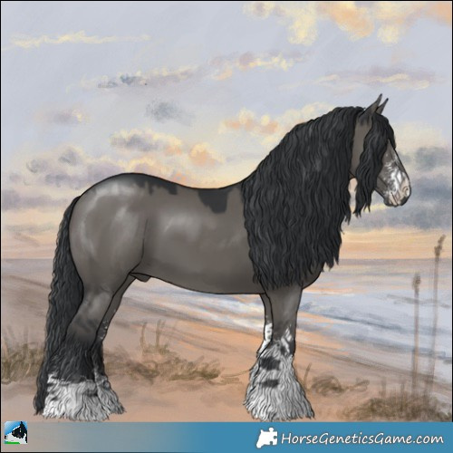 Horse Color:Grullo Mushroom Sabino 