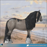 Horse Color:Grullo Mushroom Sabino