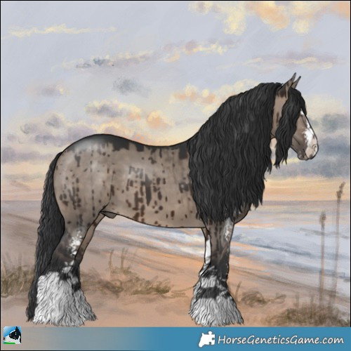 Horse Color:Brown Dun Mushroom Sabino Brindle 