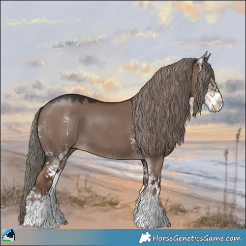Horse Color:Liver Red Dun Mushroom Sabino