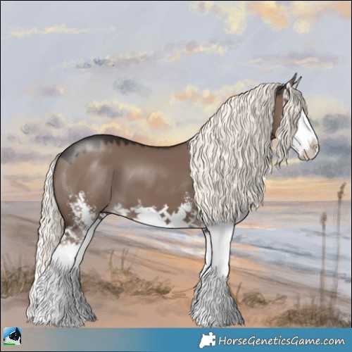 Horse Color:Liver Red Dun Mushroom Sabino Splash 