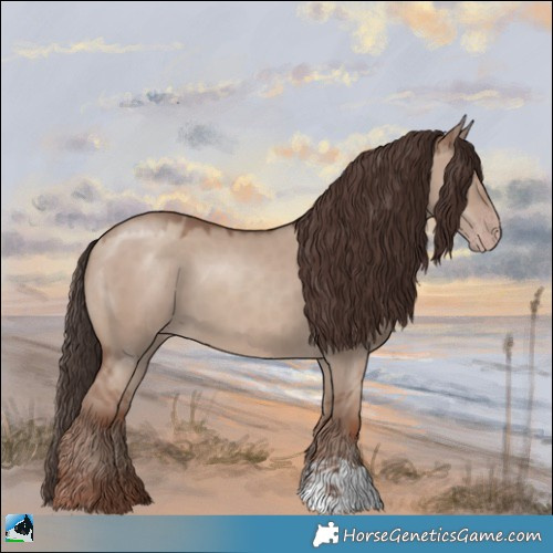 Horse Color:Classic Champagne Dun 