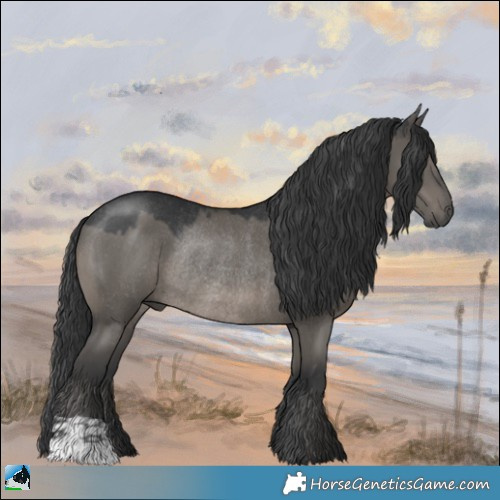 Horse Color:Grullo Mushroom Rabicano 