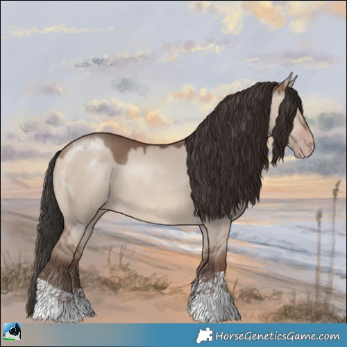 Horse Color:Sable Champagne Dun 