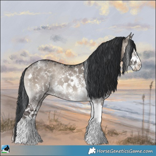 Horse Color:Grullo Onyx Mushroom Sabino Rabicano 