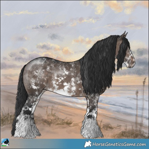 Horse Color:Brown Dun Mushroom Sabino 