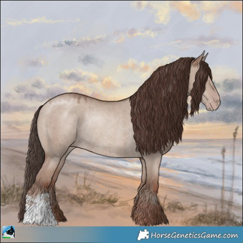 Horse Color:Classic Champagne Dun Mushroom Rabicano 