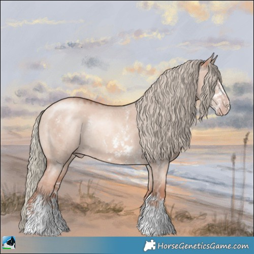 Horse Color:Gold Champagne Dun Mushroom Sabino Rabicano 