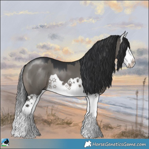 Horse Color:Grullo Mushroom Splash